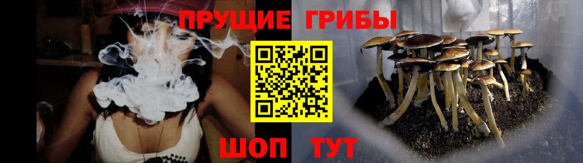 Галлюциногенные грибы MAGIC MUSHROOMS Урус-Мартан